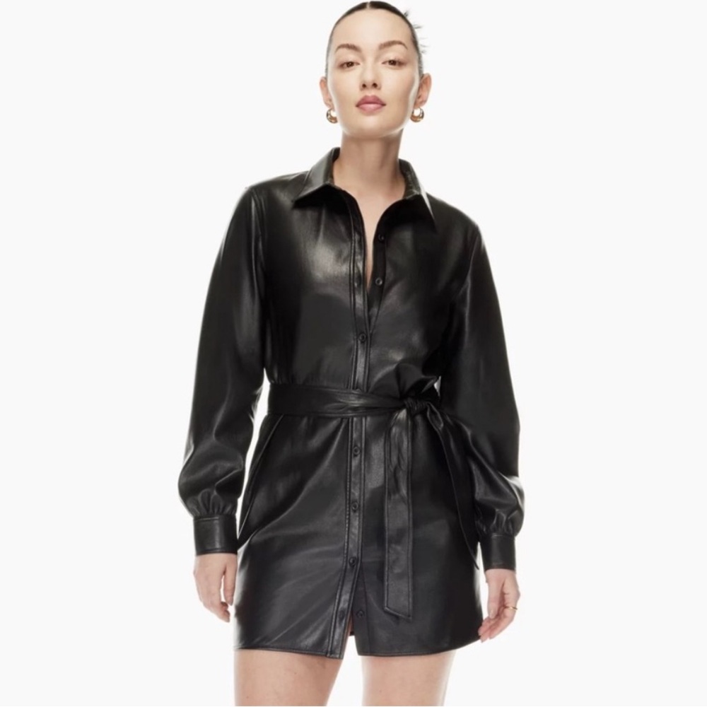 Aritzia Wilfred Leather Button Down Dress